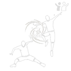 Aurora Iridescence - Free Fire Emotes