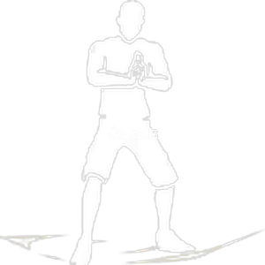 Ninja Sign - Free Fire Emotes