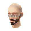 Legend Unfold (Facepaint) - Free Fire Skins