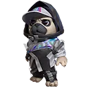 Pet Skin: City Pug