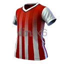 Striped Soccer Jersey (Top) - Free Fire Skins